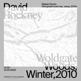 «Уолдгейтский лес, зима, 2010» Специальный показ видеоработы Дэвида Хокни в Новой Голландии