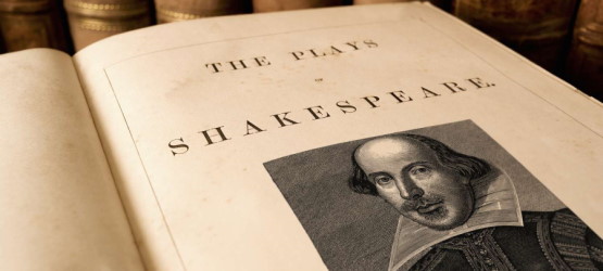 Поэтические чтения на английском языке. Learning to Read Shakespeare